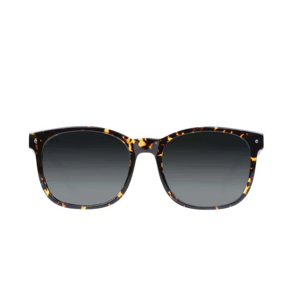 Scout Acetate